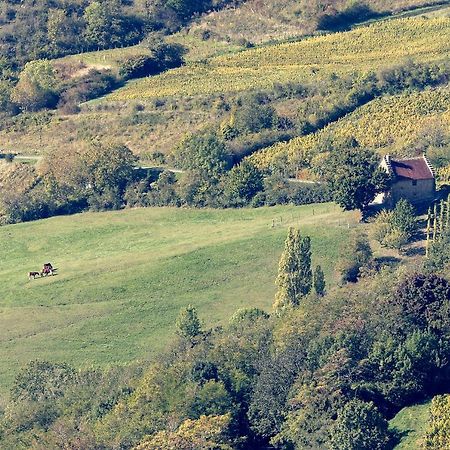 Les Billardes - Le Gite - Jura Gizia Exterior foto